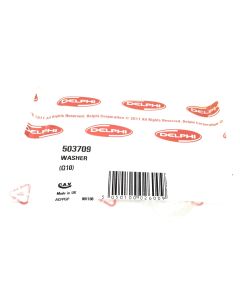 DELPHI WASHER (PACK OF 10) - 503709
